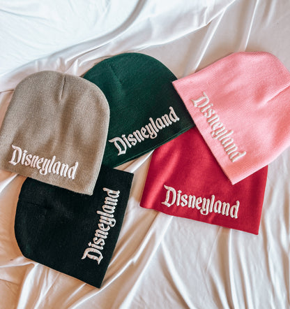 3D Puff Embroidery Disneyland Skull Beanie